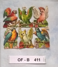 OF-B411 i: 6 Papageien, L&B