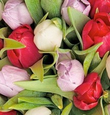 Outdoor Textilposter Amsterdam