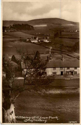 Millberry hill shaftesbury - hill,