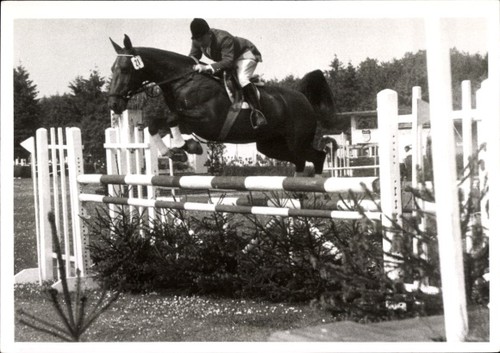 Foto köln springreiten - foto, köln,