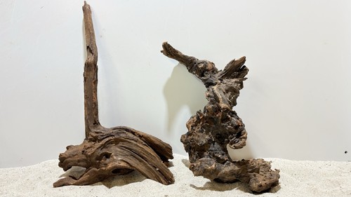 Flusswurzel ähnlich mangrove - flusswurzel,