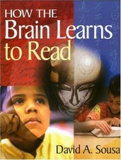How the brain learns - brain, to