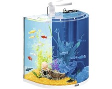 Aquarium tetra explorerline - aquarium,