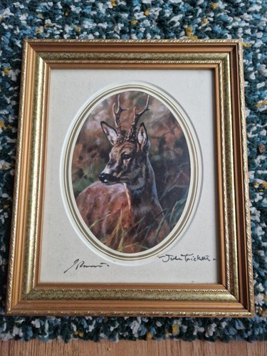 John trickett reh - reh, signierter