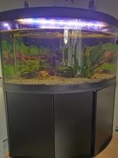 Aquarium von Fluval 350 Liter mit Unterschrank