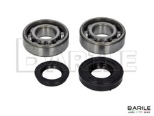 Lager + Wellendichtring