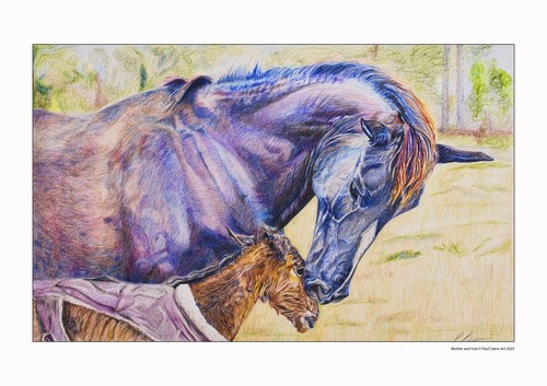 Original kunstdrucke pferd - original, a4