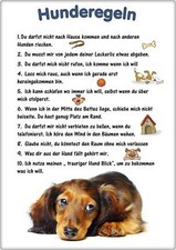 Warnschild - 20x30cm -