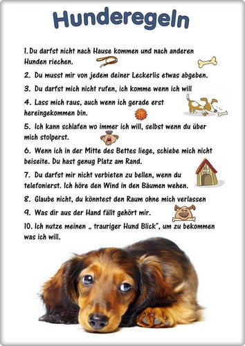 Warnschild 20x30cm - warnschild,