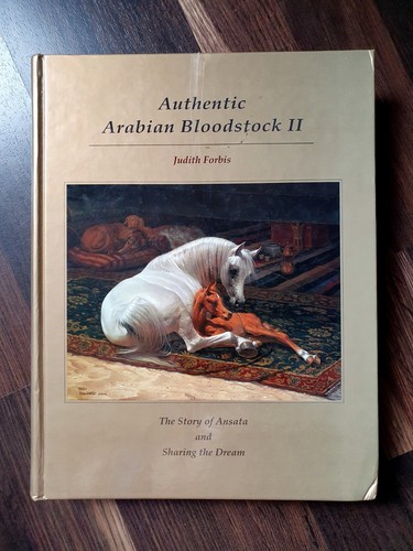 Authentic arabian bloodstock - arabian,