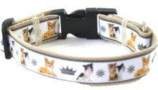 Hundehalsband Chihuahua, XS