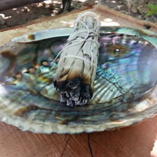 Reinigungsset mit weißem