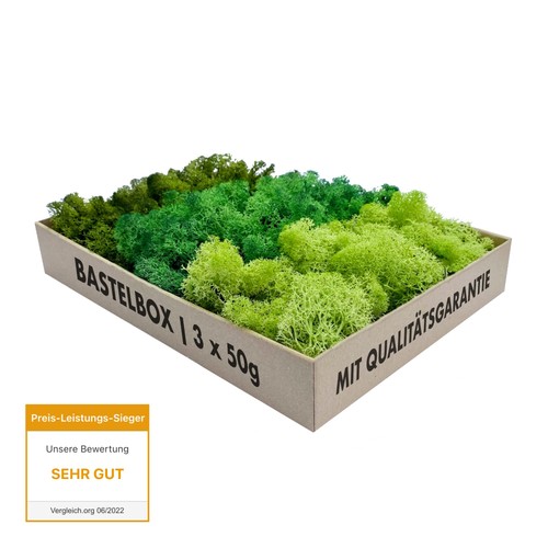 Islandmoos bastelbox 150g deko - islandmoos,