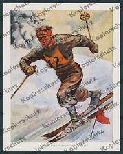 Elk Eber Ski Langlauf Telemark