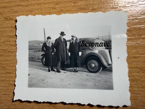 Foto adler trumpf - foto, junior