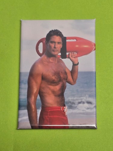 David hasselhoff magnet - david,