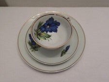 Porzellan Gedeck Sammeltasse