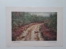 Wild und Hund Beilage "Kaninchentreibjagd" von W. Buddenberg - sehr alt