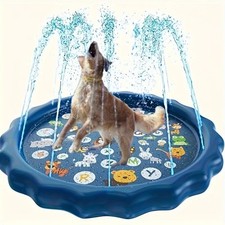Outdoor Hunde Pool mit