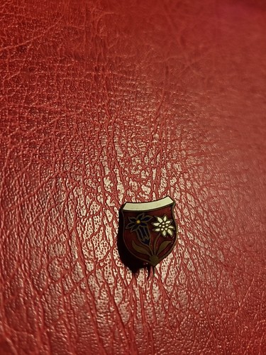 Anstecknadel hutnadel - anstecknadel,