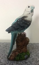 Wellensittich 13,5 cm blau auf