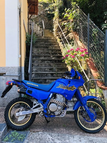 Honda dominator 650 - dominator, nx