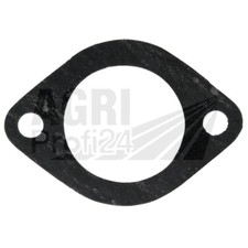 Thermostat Dichtung für Case