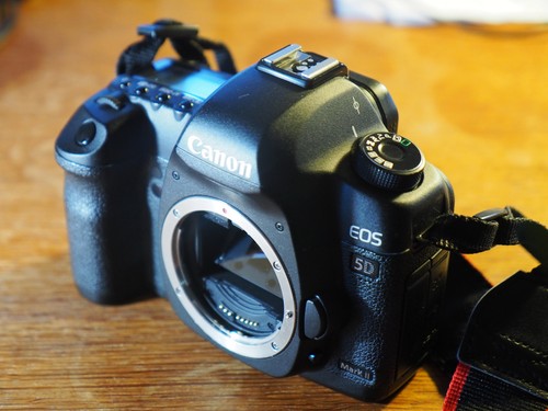 Canon eos mark 21 - canon,