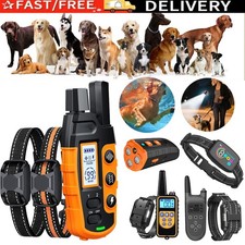 Hunde Trainingshalsband