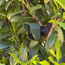 Blink Outdoor Kamera Wald