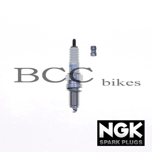 Ngk zündkerzen moto - ngk,