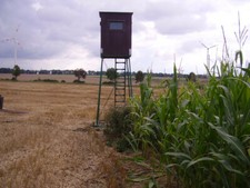 Kanzel,Hochsitz,Ansitzeinricht