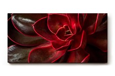 Sinus art wandbild modernes - sinus,