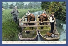 Spreewald 1905