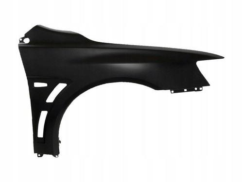 Kotflügel vorne rechts - , für