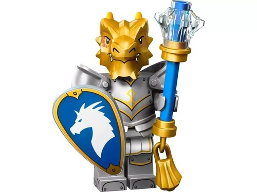 Dragonborn paladin lego - dragonborn,