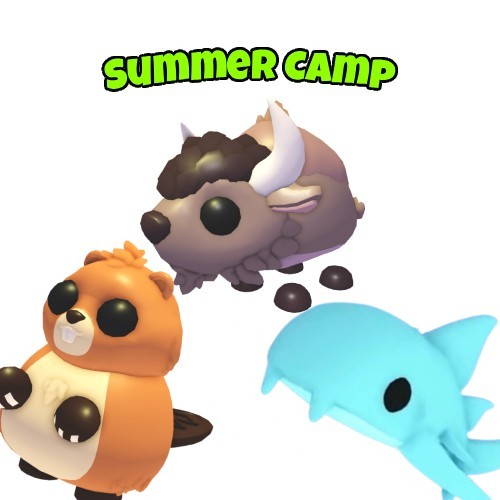 Adopt summer camp update - me,