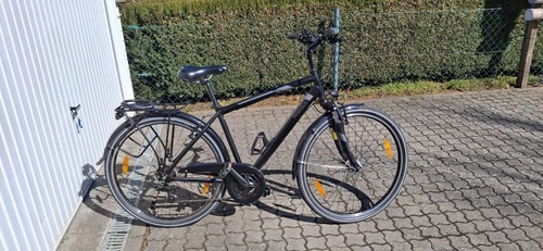 Pegasus piazza er28 50cm - pegasus,