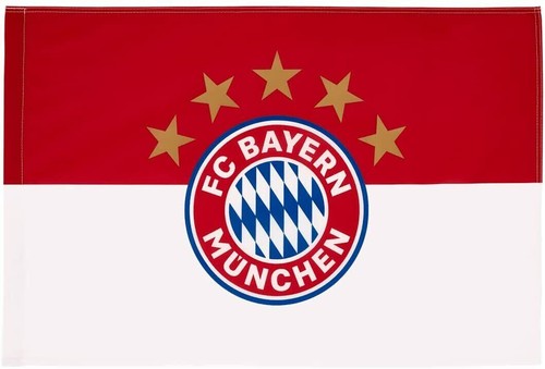 Fahne sterne mit logo - mit,