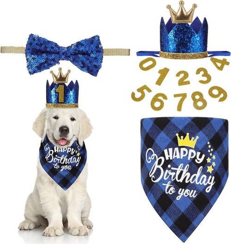 Hund geburtstag set krone - hund,