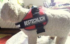 Julius K9 Hundegeschirr IDC Powergeschirr Größe L / 1  neuwertig