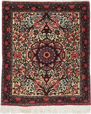 Bidjar Teppich Rug Carpet Tapis Tapijt Tappeto Alfombra Orient Perser Art Kunst