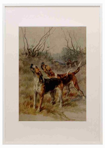 Graf maud 1864 1943 - power, dog