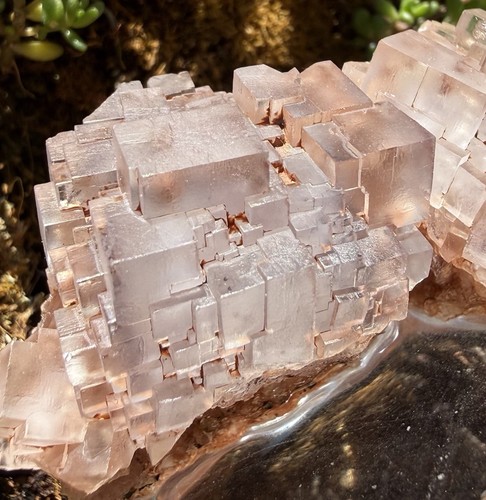 Fluorite grube clara - fluorite,, clara,