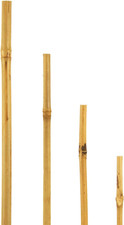 Bambusstäbe 180cm 10er Set Rankhilfe Bambusstangen Pflanzenstütze