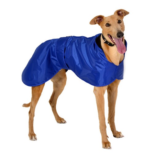 Windhund regenmantel - regenmantel,