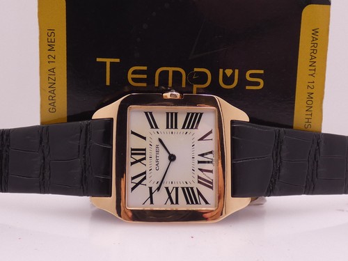 Cartier santos dumont 2650 - santos,
