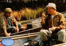 Der dritte Frühling -