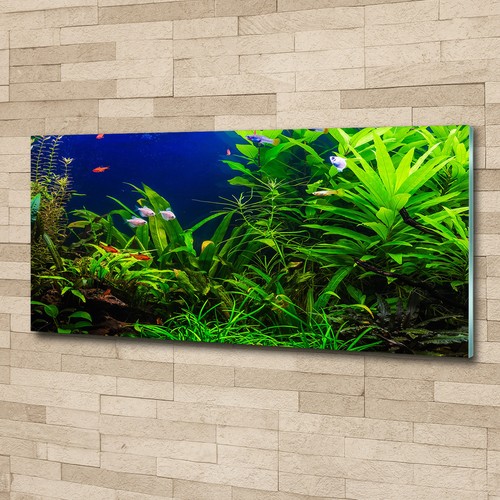 Glas bild wandbilder druck auf - druck,
