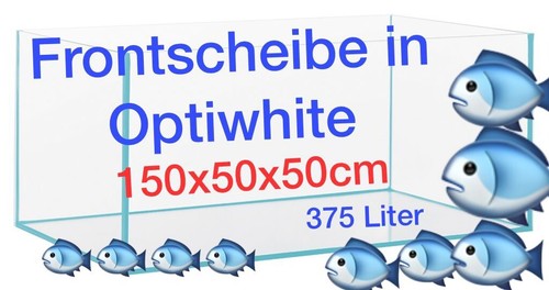 Professionelles aquarium - professionelles,